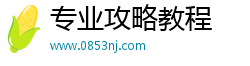 专业攻略教程